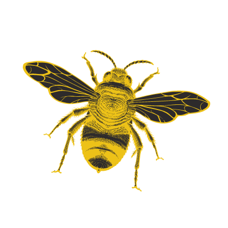Suffolk Bee Keeping Services & Honey Stockists