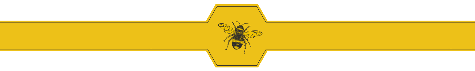 Beekeeping & Bee Removal, Sudbury, Suffolk