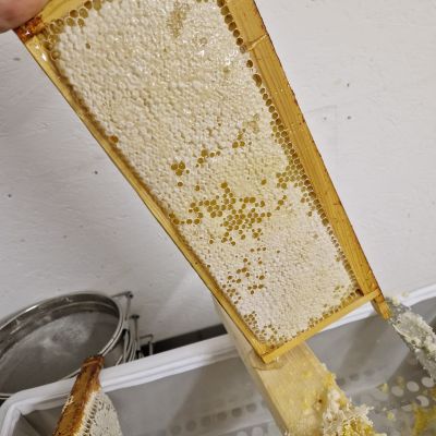 Beekeeping & Bee Removal, Sudbury, Suffolk